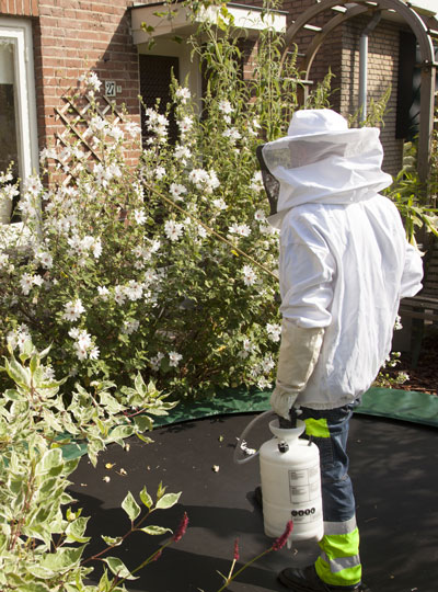 Pulvérisation d'insecticide anti-insectes volants